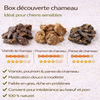 Box de Mastication au Chameau 🐫  - chiens sensibles