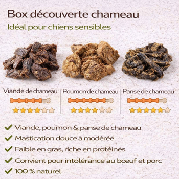 Box de Mastication au Chameau 🐫  - chiens sensibles - 500 gr