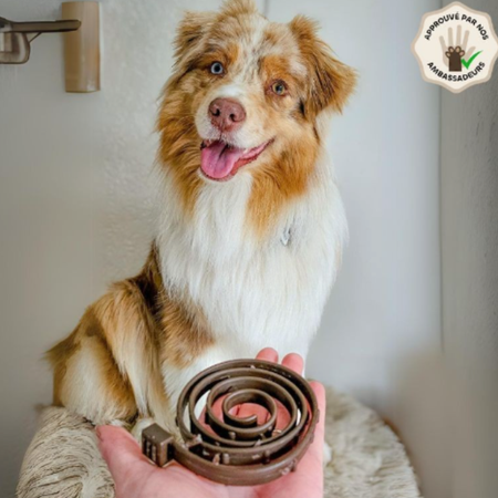 Collier anti-puces & tiques naturel pour chien – Biovetol