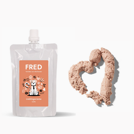 🐟 Crème de saumon Fred - pour chien