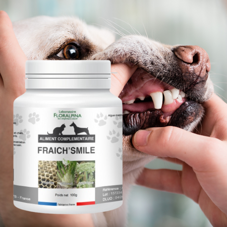 Dentifrice naturel en poudre Antitartre - Chien et chat