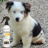 Lotion sans rinçage pour chiot (à partir de 3 mois)