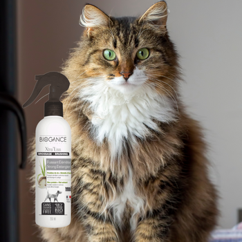 Démêlant Xtra Liss sans rinçage pour chien ou chats Biogance