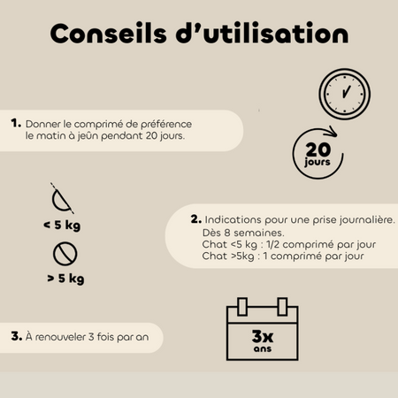 Comprimés Mobil'Activ - Confort articulaire - Chat