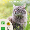 Comprimés Mobil'Activ - Confort articulaire - Chat