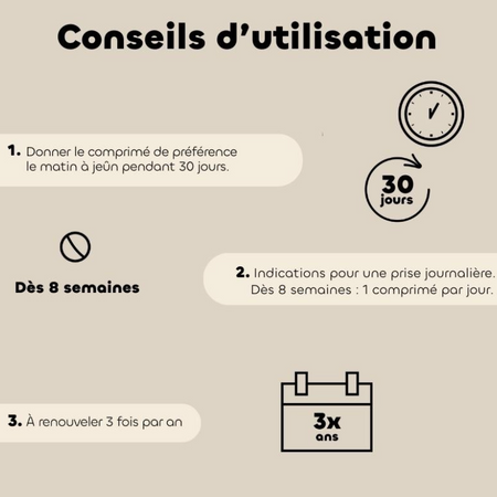 Comprimés Régul'Transit Chat – Digestion et microbiote - chat