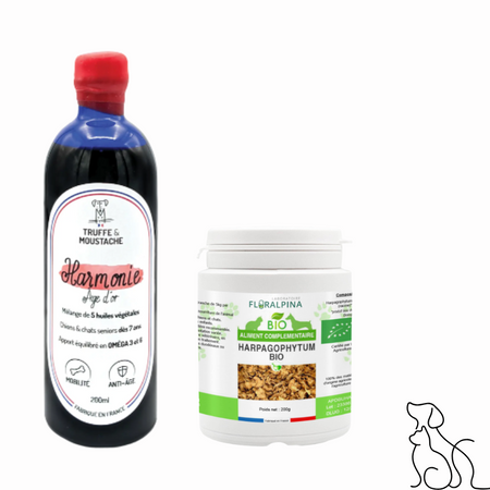OFFRE Pack Harmonie Senior : 1 Huile Harmonie avec un 1 pot Harpagophytum bio GRATUIT