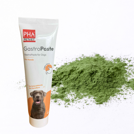 🐾 PHA GastroPaste – Soutien naturel du système digestif des chiens