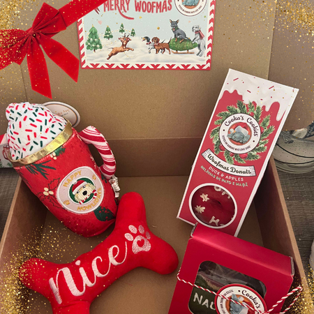 Coffret Cadeau de Noël - Peluches & Friandises pour chien