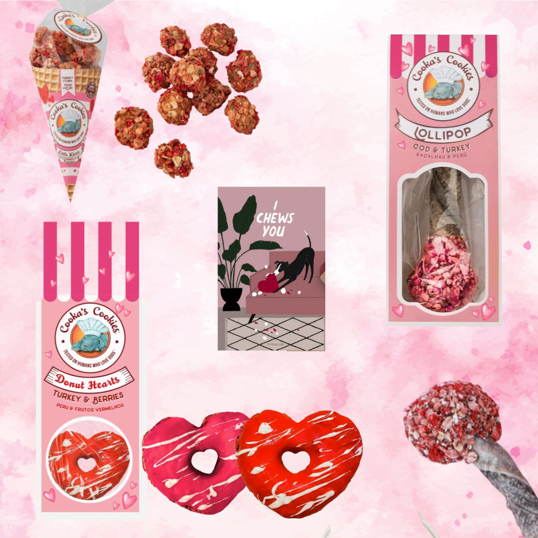 💘 Box Saint-Valentin Animasoin – Mon vrai Valentin a des poils