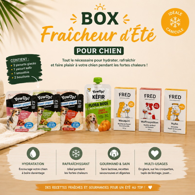 Box Fraîcheur d'Été pour chien – Yaourts glacés, kéfir, smoothie & bouillons