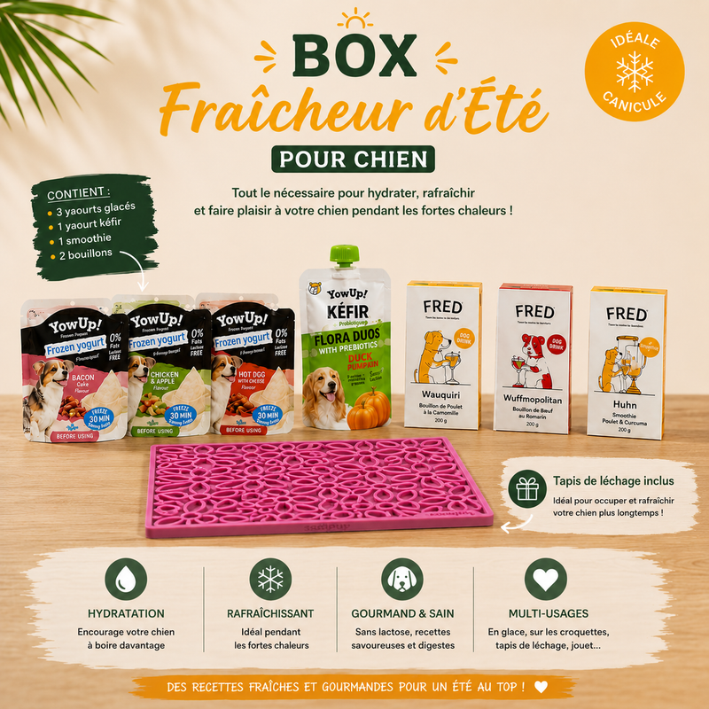 Box Fraîcheur d'Été pour chien – Yaourts glacés, kéfir, smoothie & bouillons