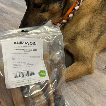 Box de friandises séchées naturelles au cheval