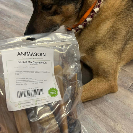 Box de friandises séchées naturelles au cheval