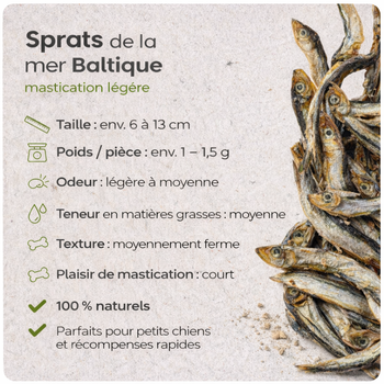Sprats séchés de la mer Baltique - appétissants