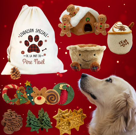 🎅 Hotte de Noël Animasoin – Livraison spéciale du Père Noël pour votre chien ! 🎁