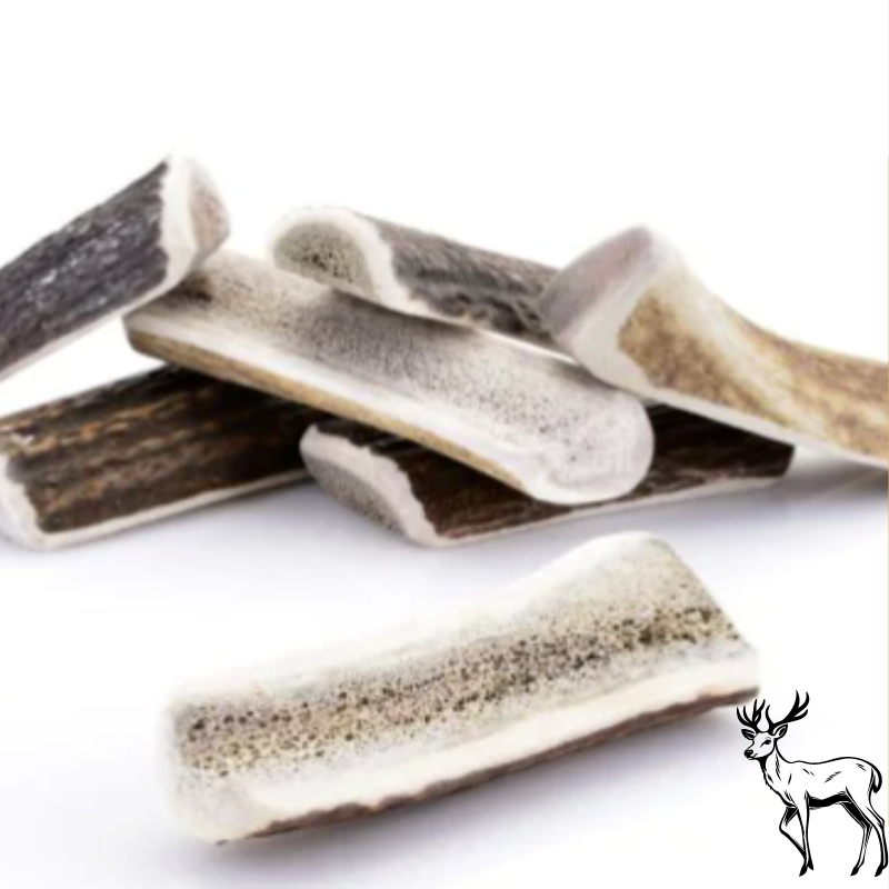 🟠 Bois de cerf tranché/ Demi bois de cerf - qualité AA pour chien