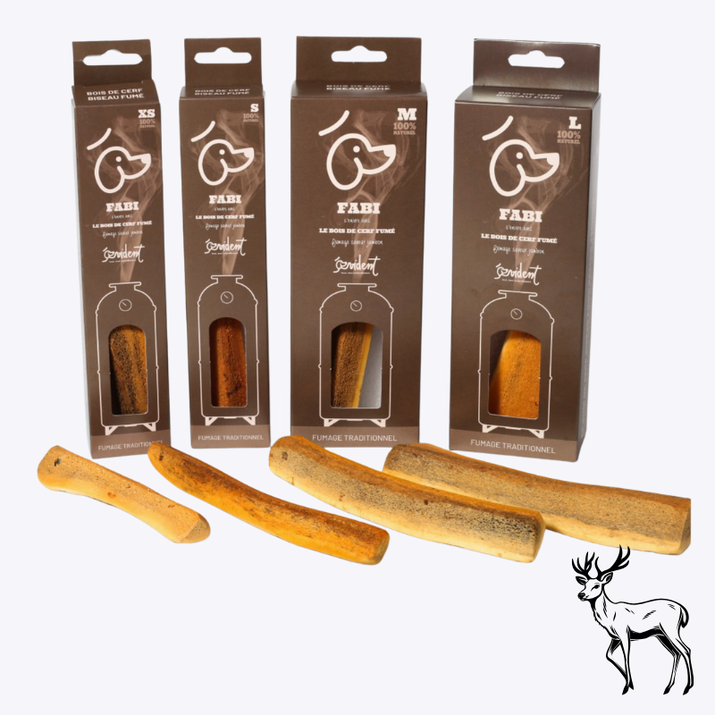 🟡 Bois de cerf biseau fumé au jambon de façon artisanale