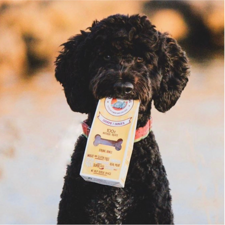 Biscuits hamburgers – 100 g 🍔 mais sains et adaptés ! Cooka Cookies