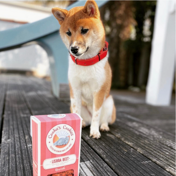 Friandises végétariennes Lisboa Beet- Betterave & Quinoa - Cooka Cookies
