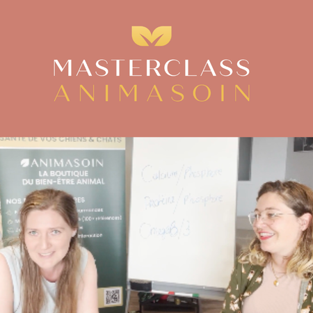 Masterclass – Comment bien choisir les croquettes de son chien 🐕