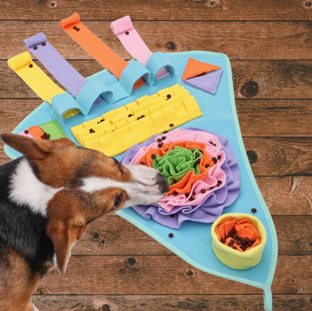 Tapis de Fouille Interactif “Aventure Gourmande”