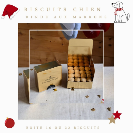 🎁 Boîte de gourmandises “Dinde aux marrons” – Recette spéciale Noël pour chiens