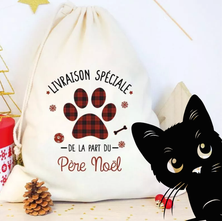 🎁 Coffrets Cadeaux de Noël pour Chats – Animasoin Edition Limitée 🐈
