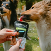 Box Fraîcheur d'Été pour chien – Yaourts glacés, kéfir, smoothie & bouillons
