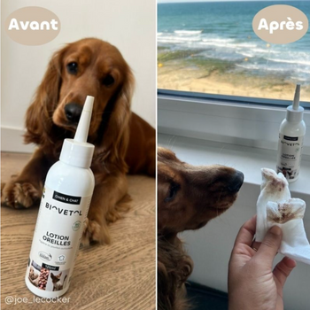 Lotion des oreilles pour chiens – Biovetol