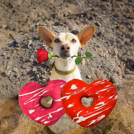 Beignets Coeurs pour chien (dinde&baies) - Edition Limitée 💖