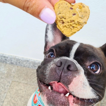 Biscuits naturels au poulet, carottes et graines de lin - Cooka Cookies