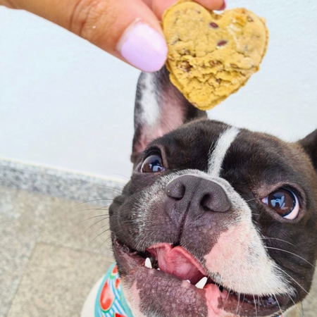 Biscuits artisanaux au poulet en 💖 pour 🐶