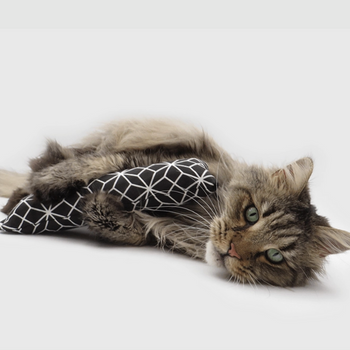 Méga-rouleau rempli de valériane pure pour chat de grande taille (ou chien)