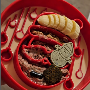 Gamelle d'alimentation lente - PĂšre NoĂ«l đ
 đ đ€¶