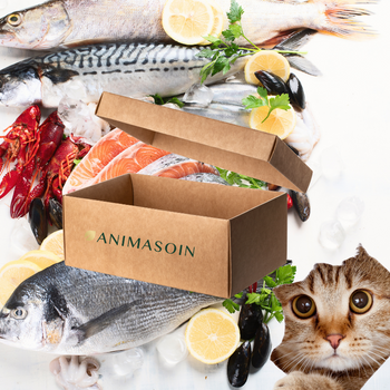 Coffret Saveurs de l'océan pour chats