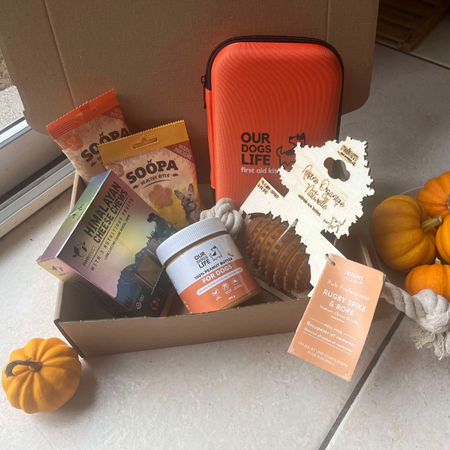 Box d'automne Voyage & Yak pour chiens de taille moyenne -  🍂🐾