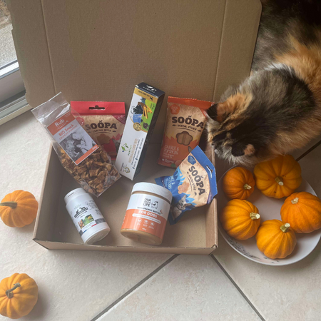 La Box d'Automne Soins & Gourmandise - Spéciale Courge  🎃🐾 - pour tous les chiens