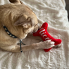 Box de l'Avent de Noël pour Chien