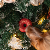 Beignets de Noël 100% naturel pour chien (canard et dinde)