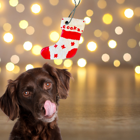 La Botte de Noël pour chiens 100% naturelle (dinde)