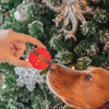 Macarons de Noël pour chiens 100% naturel (à la Dinde)