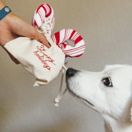 Jouet en peluche - les 3 Sucres d'Orge pour chien - bientôt disponible