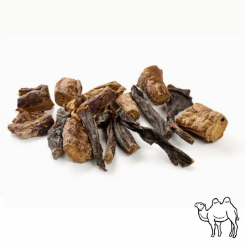 Box de Mastication au Chameau 🐫  - chiens sensibles - 500 gr