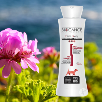 Shampoing antiparasitaires (tiques, puces) pour chien 🐶