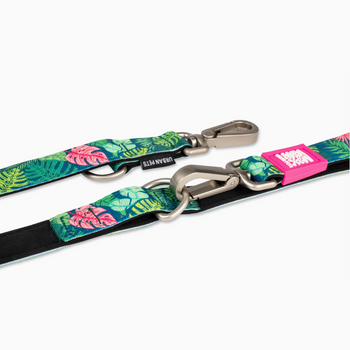 Laisse Multifonctions Max & Molly Tropical