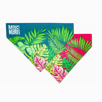 Bandana Max&Molly - Tropical