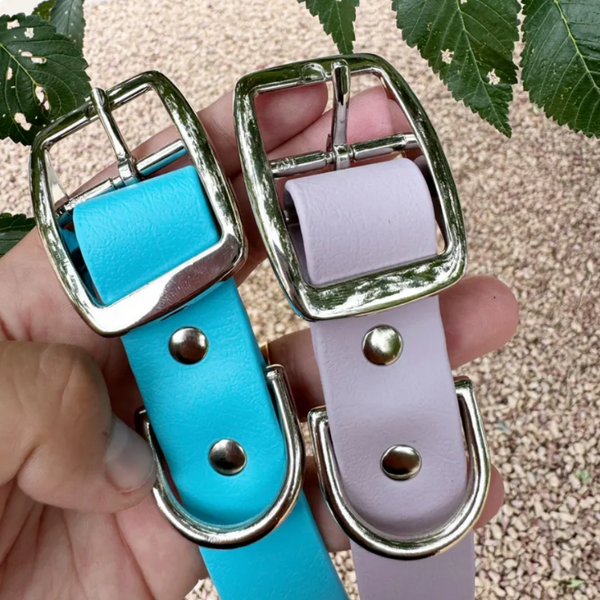 Collier réglable en Biothane (solidité, durabilité et confort