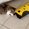 Tunnel pour chat en feutre