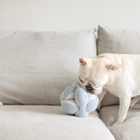 Peluche de fouille Monti détachable Bleu ciel